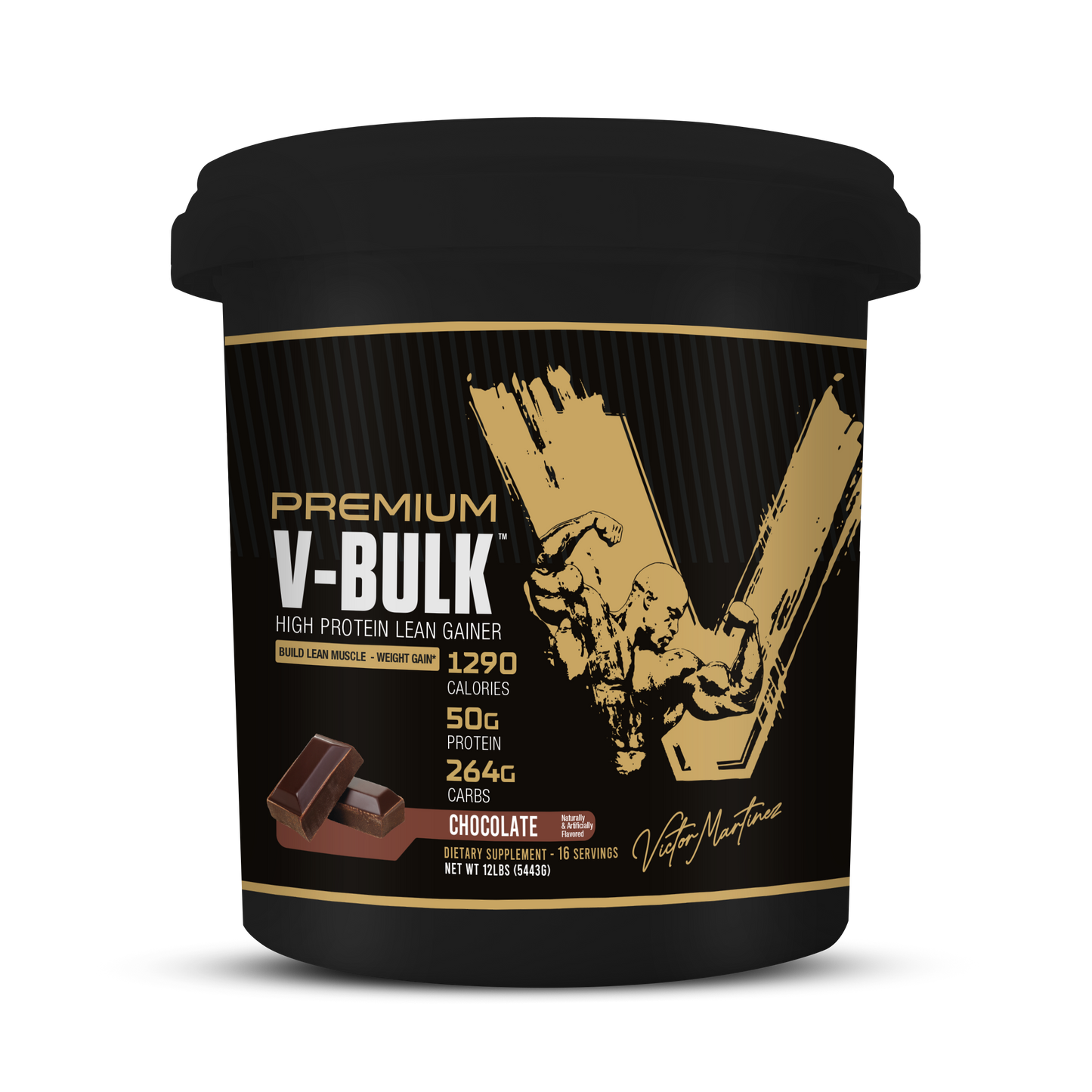 
                  
                    PREMIUM V-BULK HIGH PROTEIN LEAN GAINER
                  
                