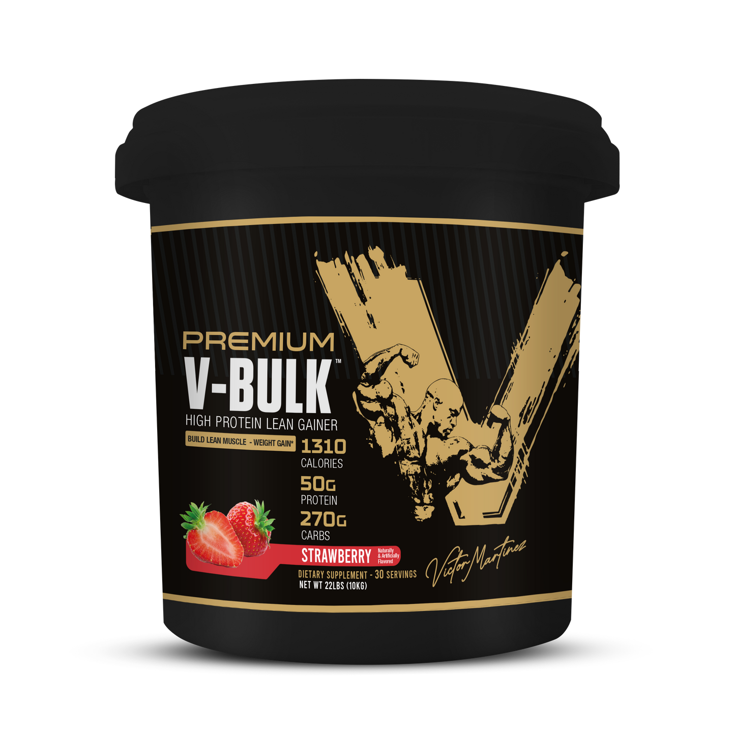 
                  
                    PREMIUM V-BULK HIGH PROTEIN LEAN GAINER
                  
                