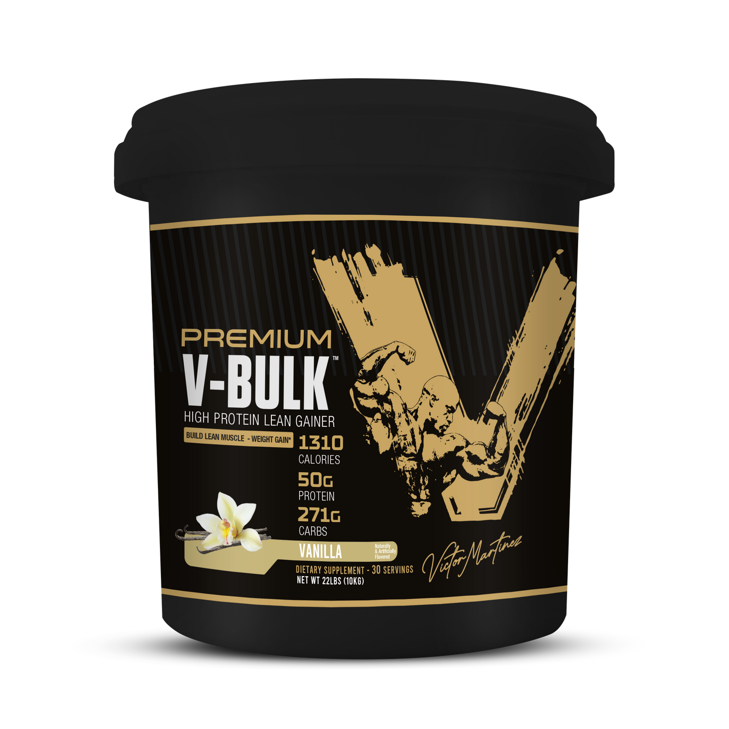 
                  
                    PREMIUM V-BULK HIGH PROTEIN LEAN GAINER
                  
                